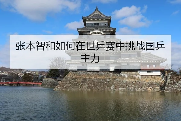 张本智和如何在世乒赛中挑战国乒主力